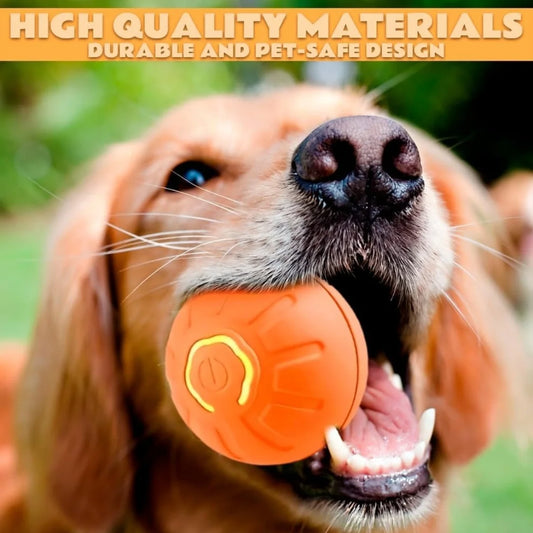 Smart Automatic Bouncing Pet Ball for Dogs & Cats