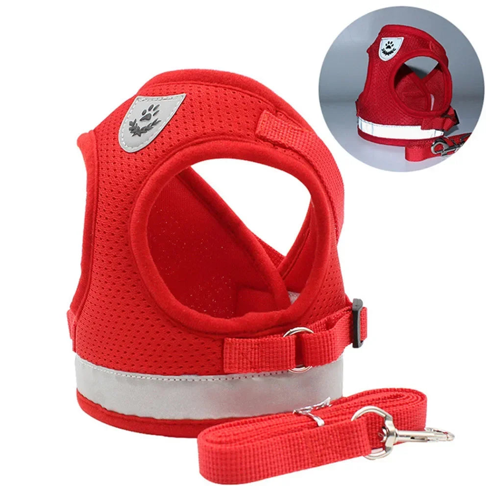 Reflective Cat Harness & Leash Set