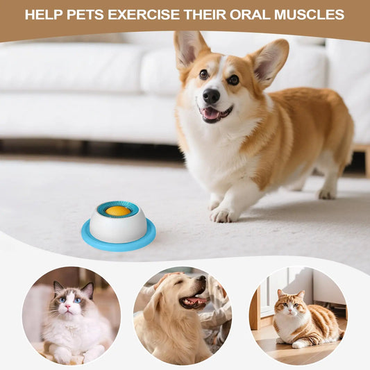 Interactive Slow Feeder Puzzle Toy for Dogs & Cats