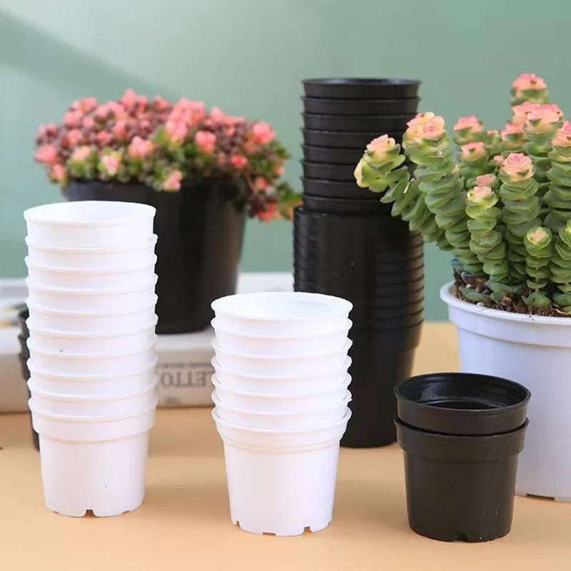 Plastic Seedling Pots