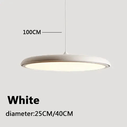 Minimalist LED Pendant Light