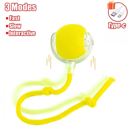 Interactive Rolling Cat Ball Toy