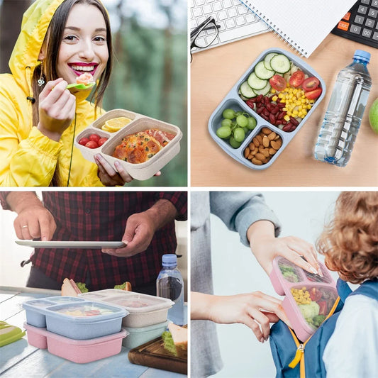3 Compartment Food Storage Container for Meal Prep & School Lunches