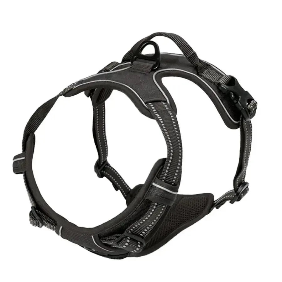 Dog Harness & Leash Set