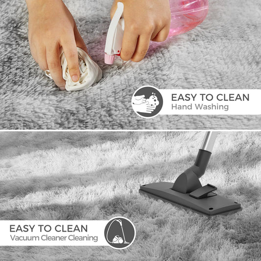 Ultra Soft Rug for Living Room, 4X6 Fluffy Shag Area Rug for Bedroom, Modern ...