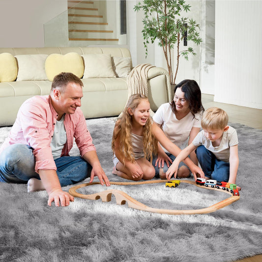 Ultra Soft Rug for Living Room, 4X6 Fluffy Shag Area Rug for Bedroom, Modern ...